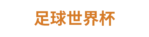 足球世界杯
